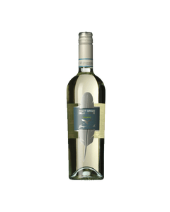 Campagnola Pinot Grigio Organic EKO, 75 cl