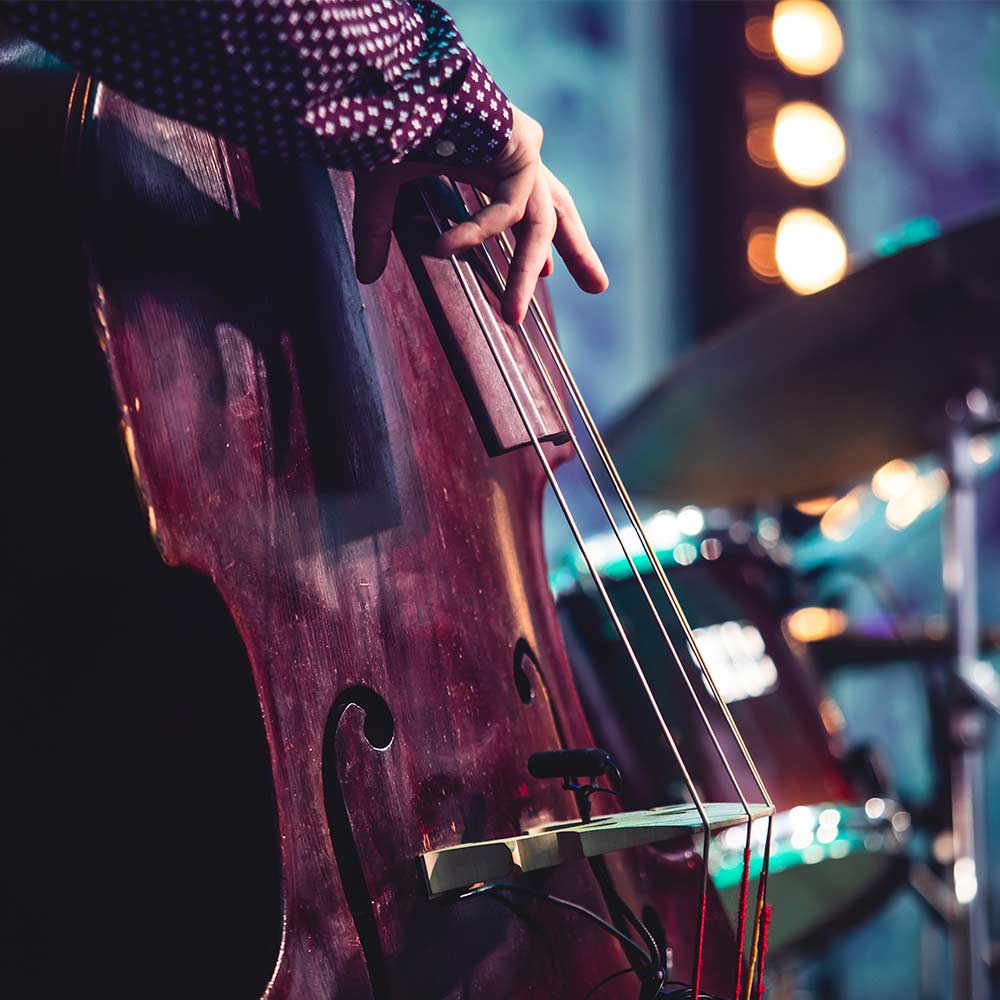 Snarky Puppy