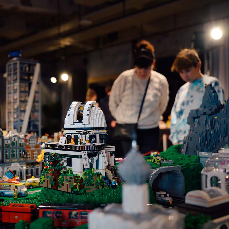 Palikkahupia Protossa