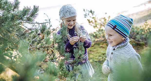 Pikku poika ja tyttö hymyilevät männyn oksien lomassa. Taustalla näkyy veden raja. 