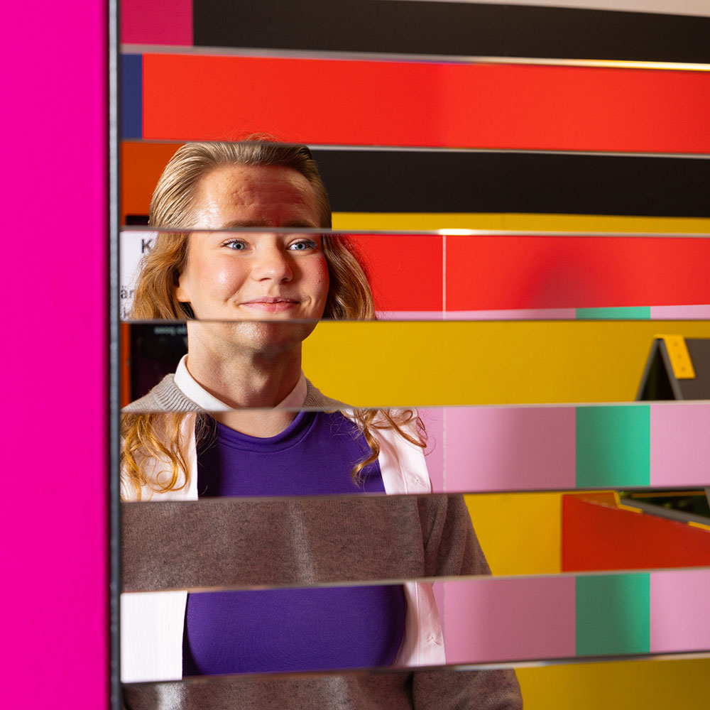 Paradox museum nainen face blenderissä