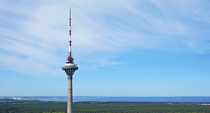 Retket ja ohjelmat Tallinnassa 