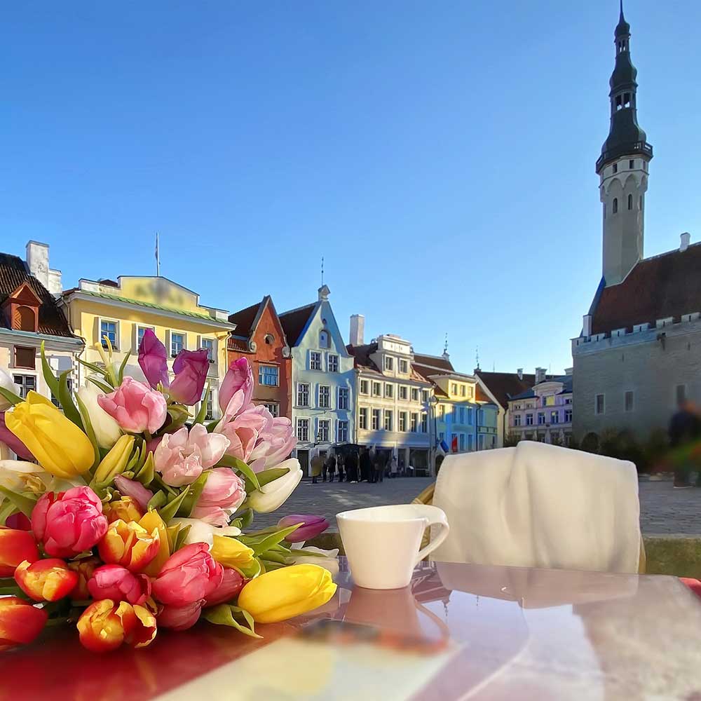 Värikkäitä tulppaaneja pöydällä kahvikupin kera Tallinnan Vanhankaupungin Raatihuoneentorilla.