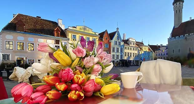 Värikkäitä tulppaaneja pöydällä kahvikupin kera Tallinnan Vanhankaupungin Raatihuoneentorilla.