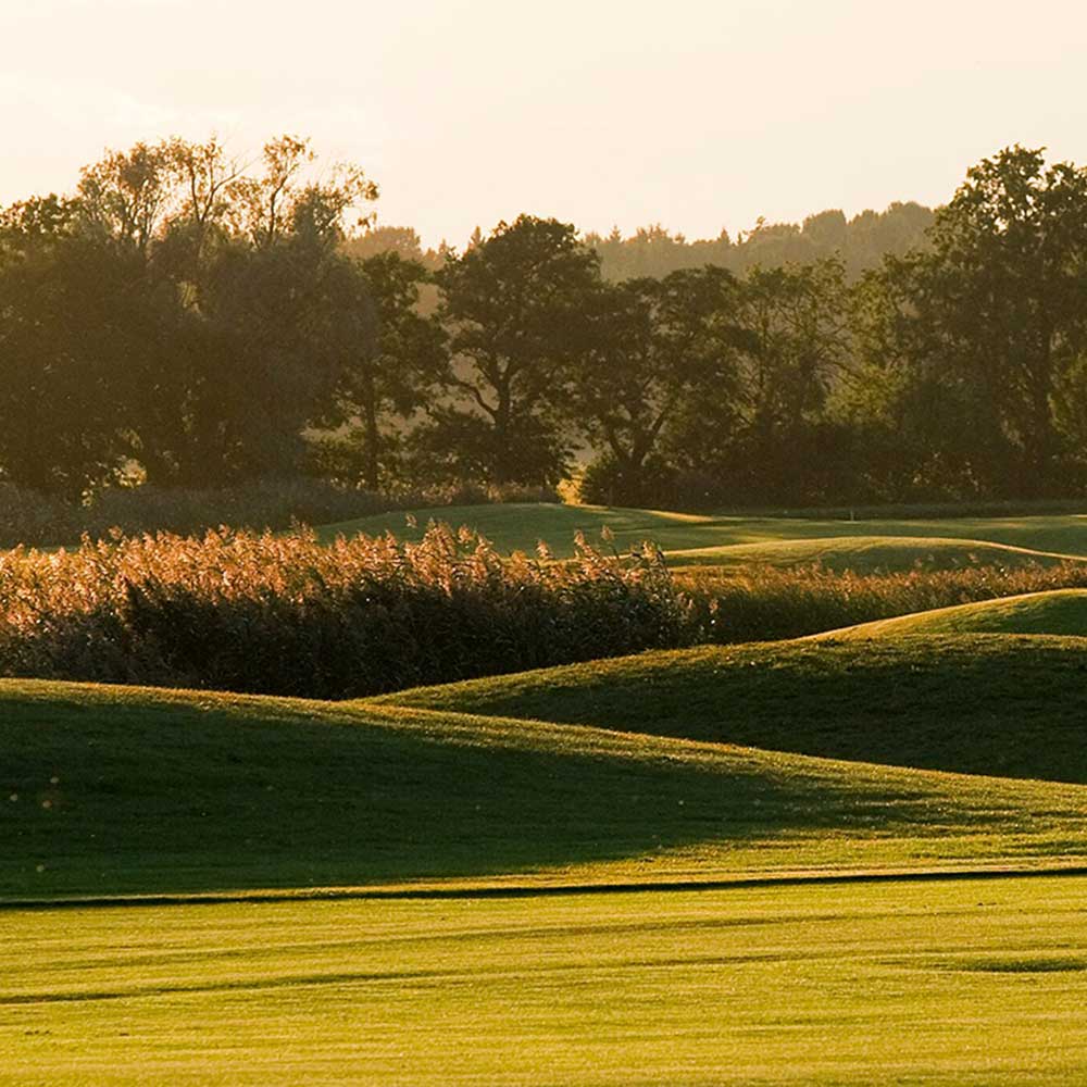 White Beach Golf, golfaamaan Viroon